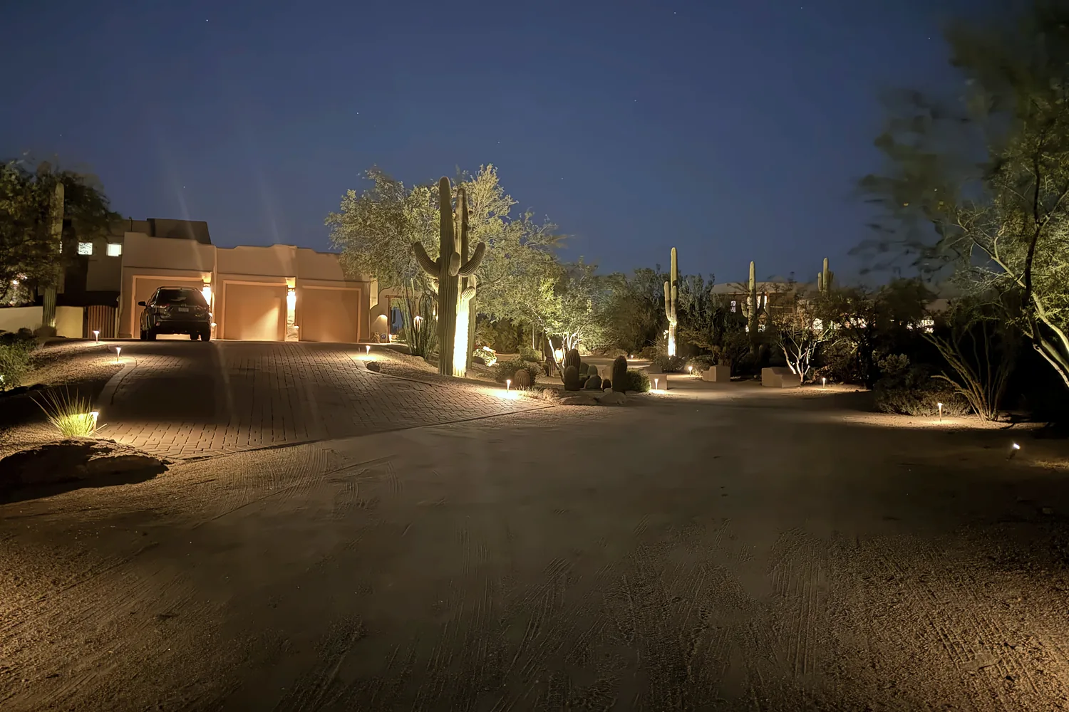 Path lights and cactus uplighting along a desert driveway