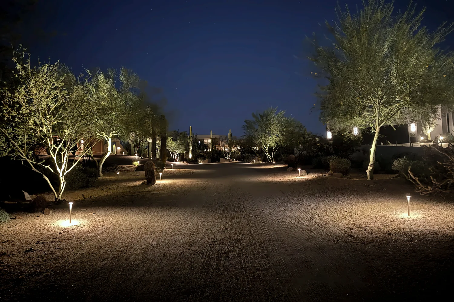 Uplit palo verde trees and path lights along a desert drive