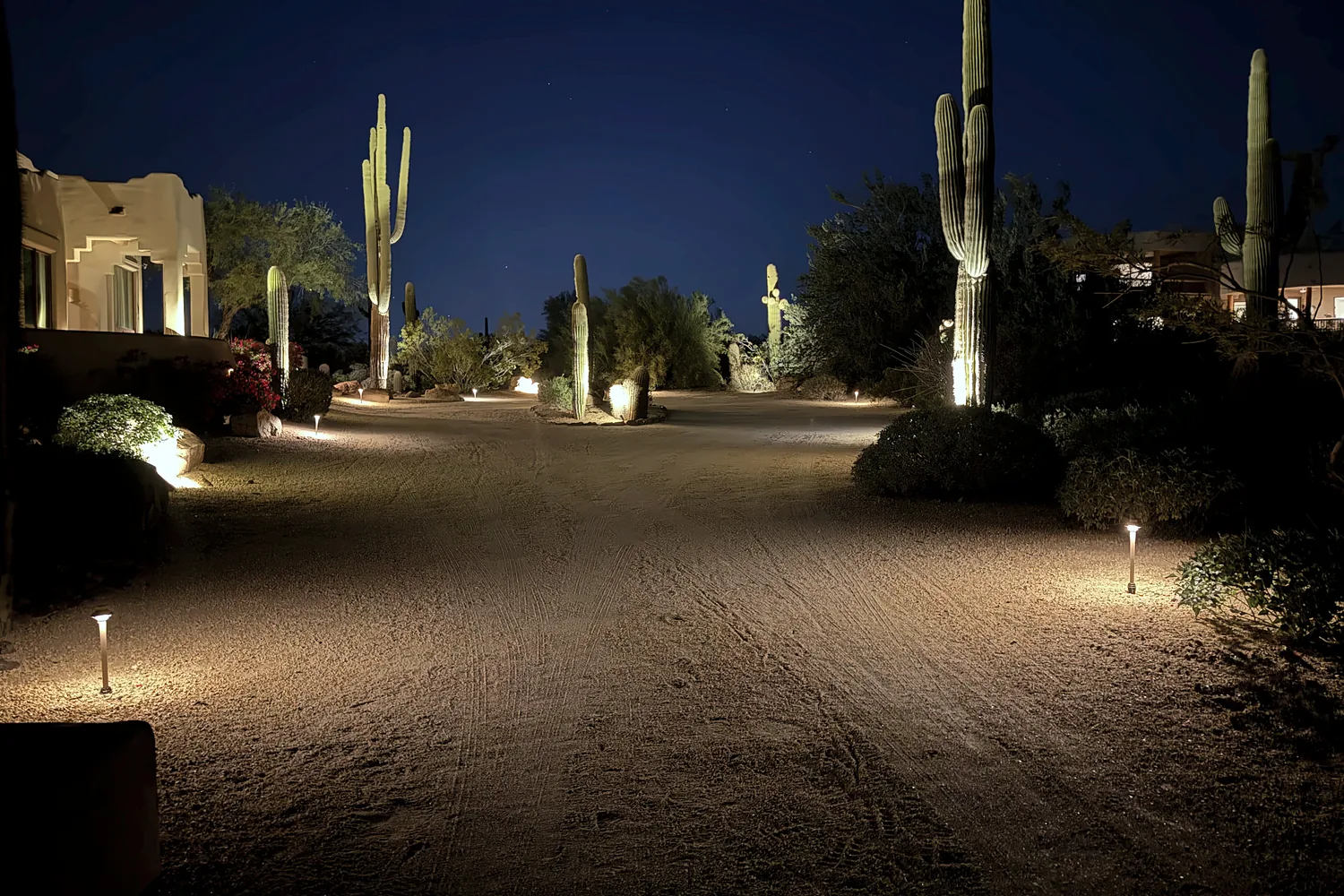 Uplit saguaros and path lights along a desert drive