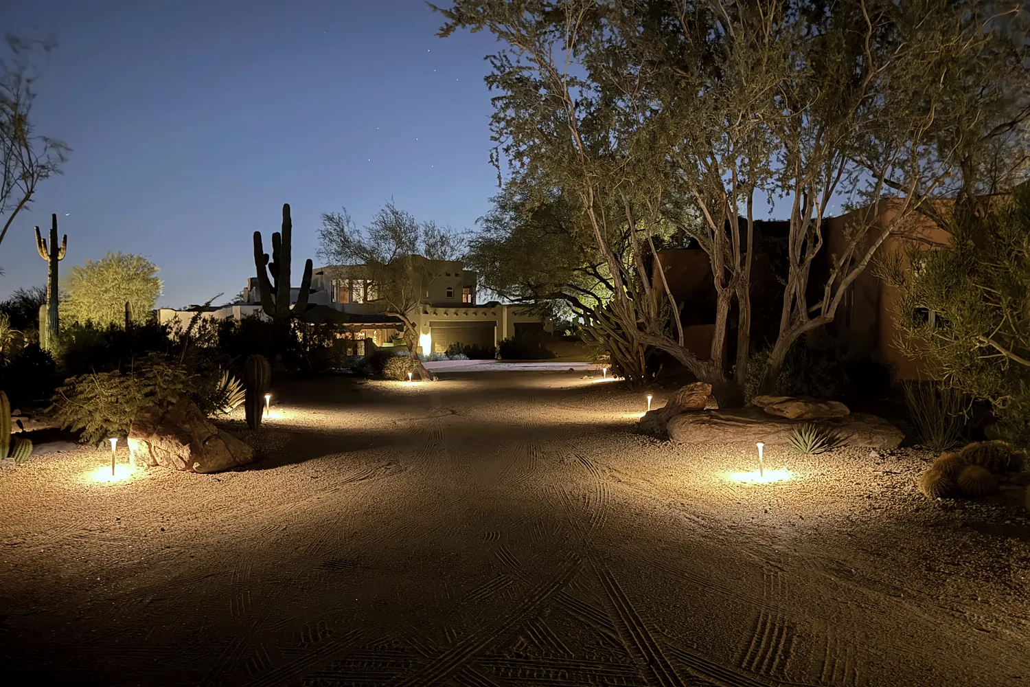 Path lights and uplit trees on a desert drive at twilight